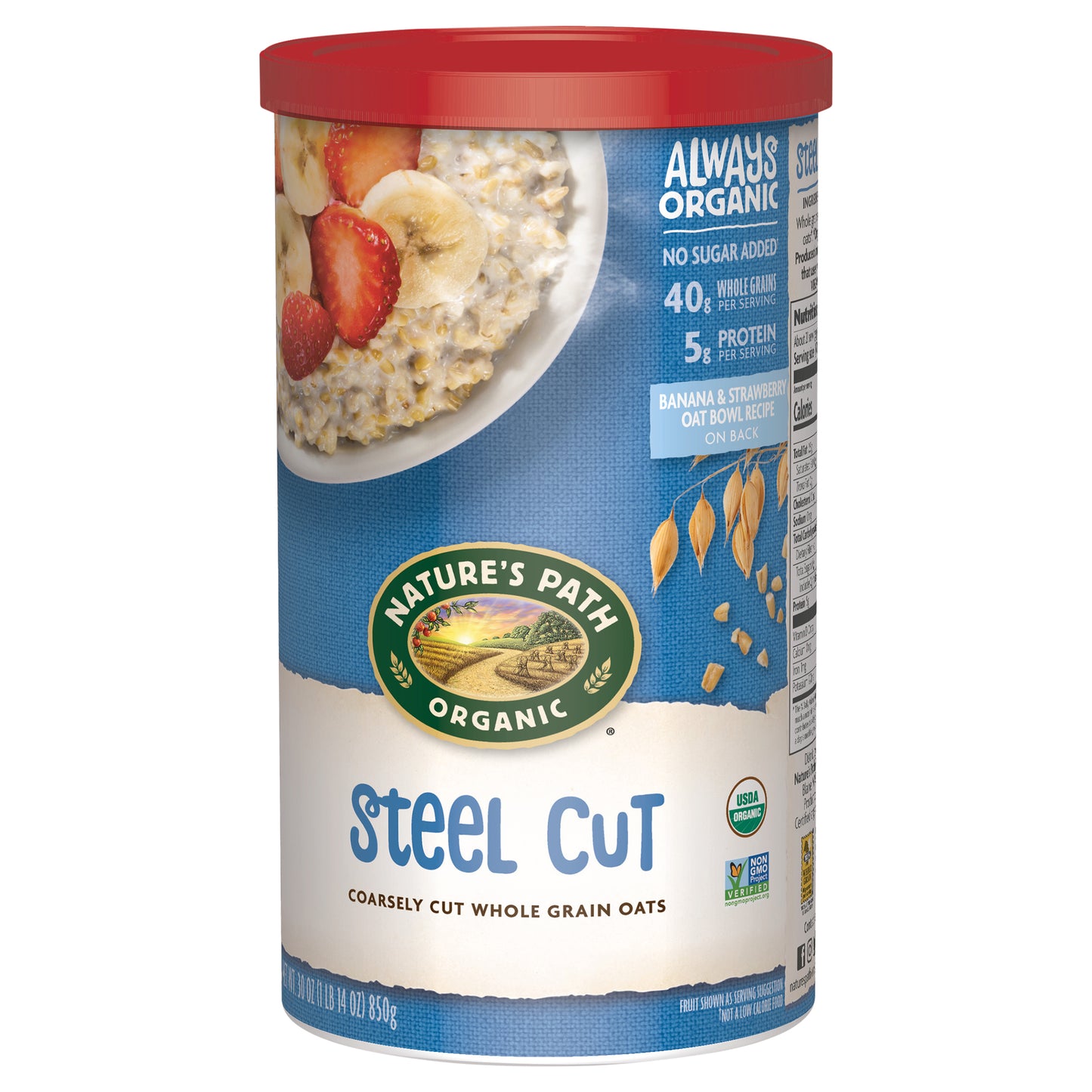 Natures Path Oatmeal Steel Cut Irish Organic 30 oz (Pack Of 6)