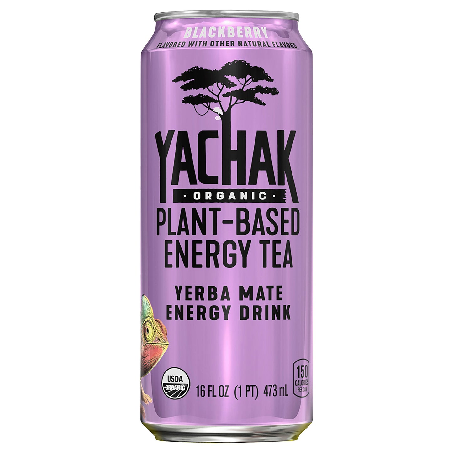 Yachak Organic Tea Organic Blackberry 16 Fo Pack of 12