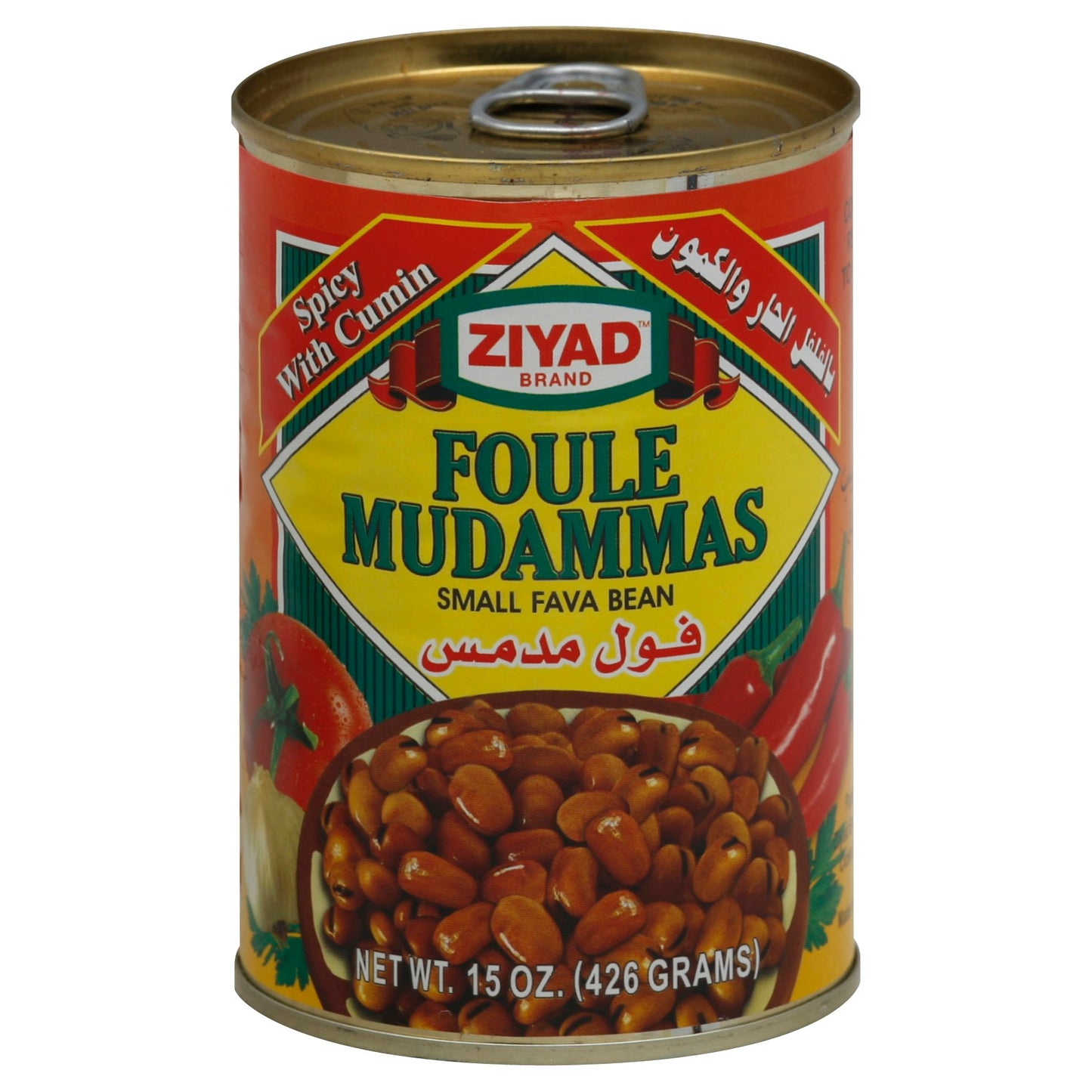 Ziyad Bean Fava Spicy 15 oz (Pack of 6)