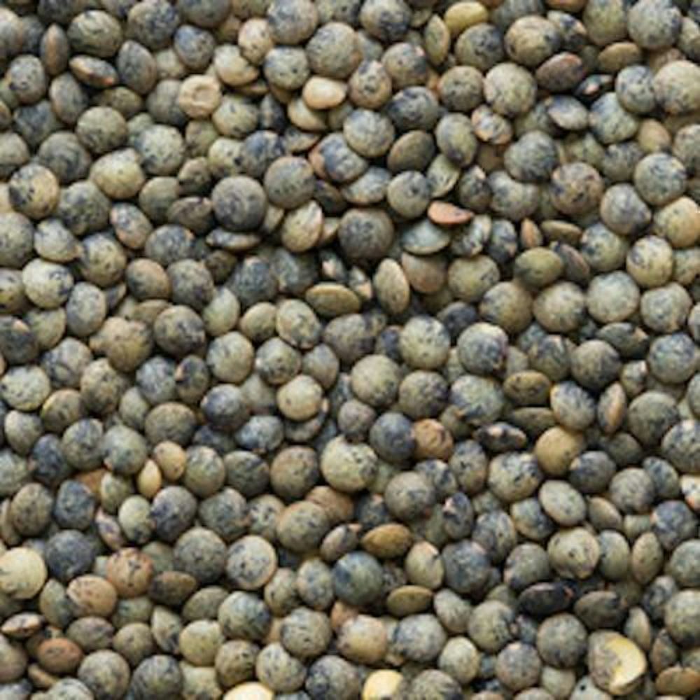 Farmer Direct Eb Lentils French Green 25 Lb