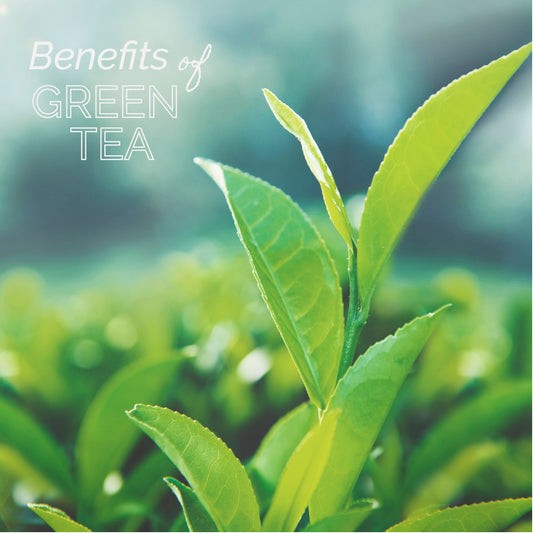 The benefits of Green Tea