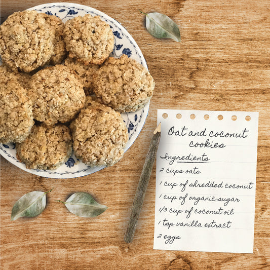 Oat and Coconut Cookies