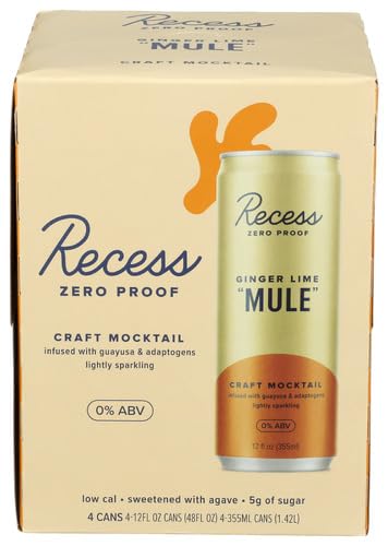 Recess Na Mocktail Ginger Mule RTD Carbonated Beverage
