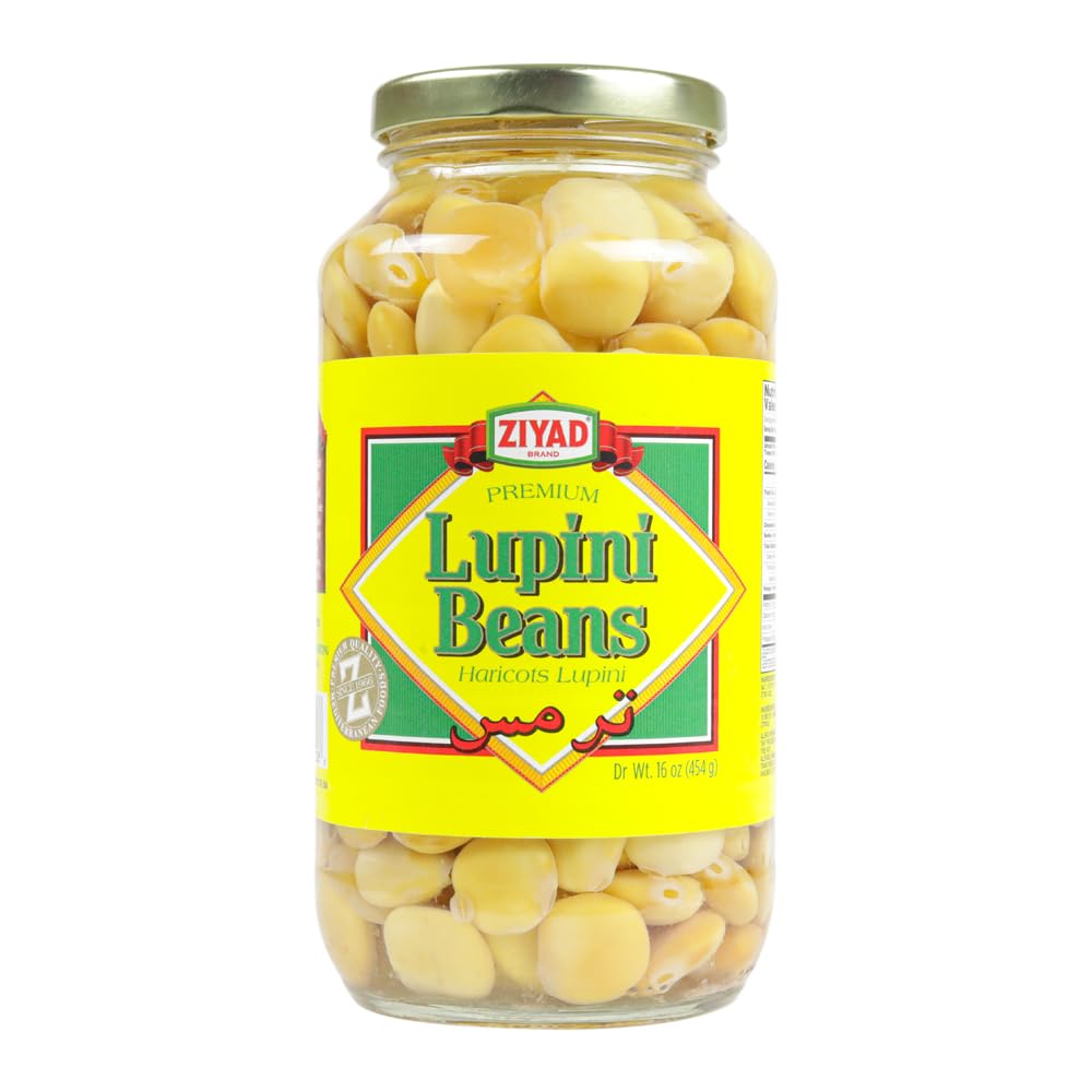 Ziyad Lupini Bean