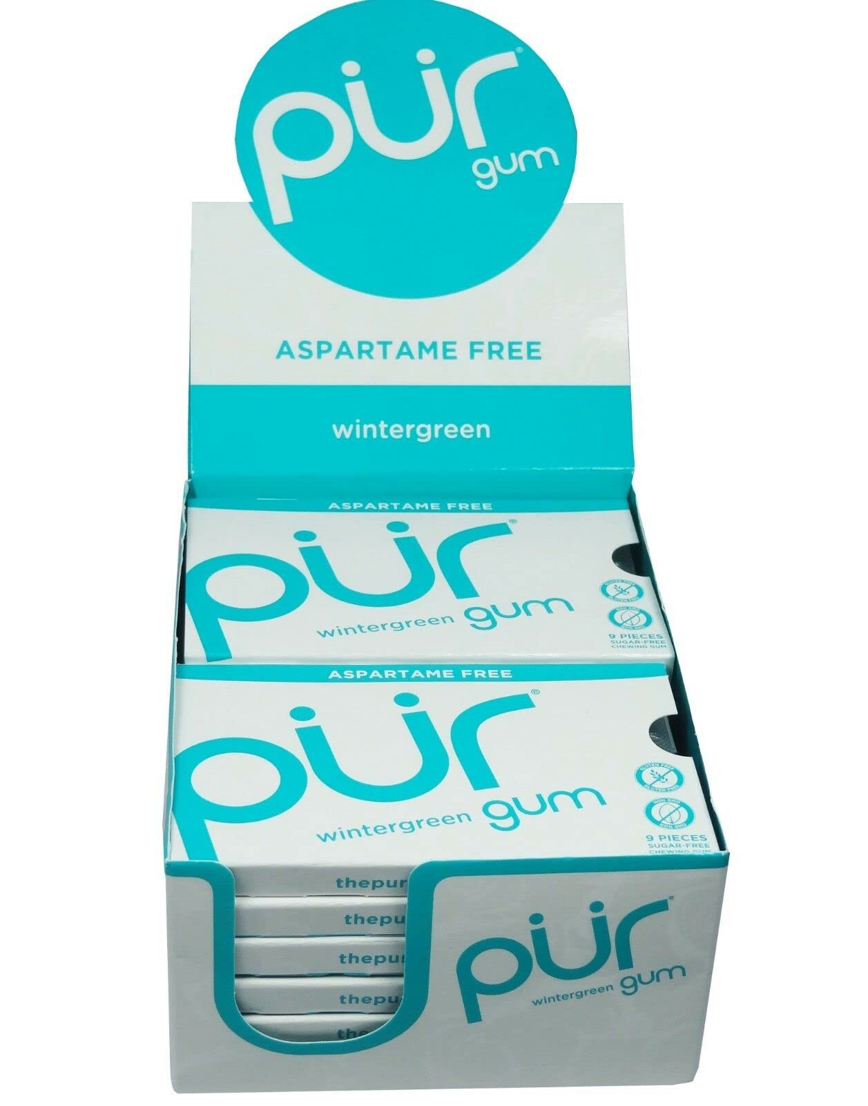 PUR (Pack of 36) Pur Gum Wintergreen 9 Pieces