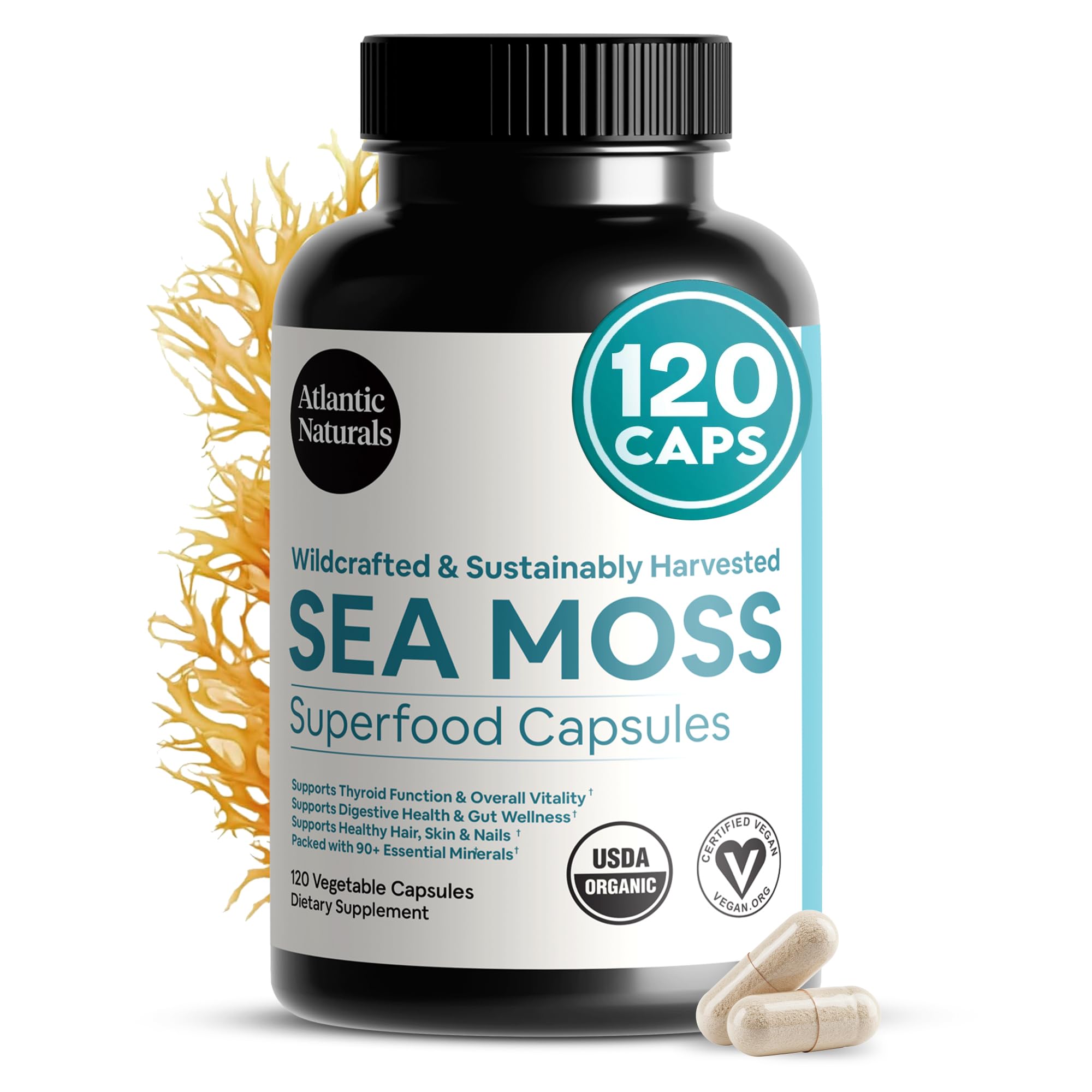 ATLANTIC NATURA (Pack of 3) Atlantic Naturals Superfood Sea Moss Vegetar 120 Vegetarian Capsules
