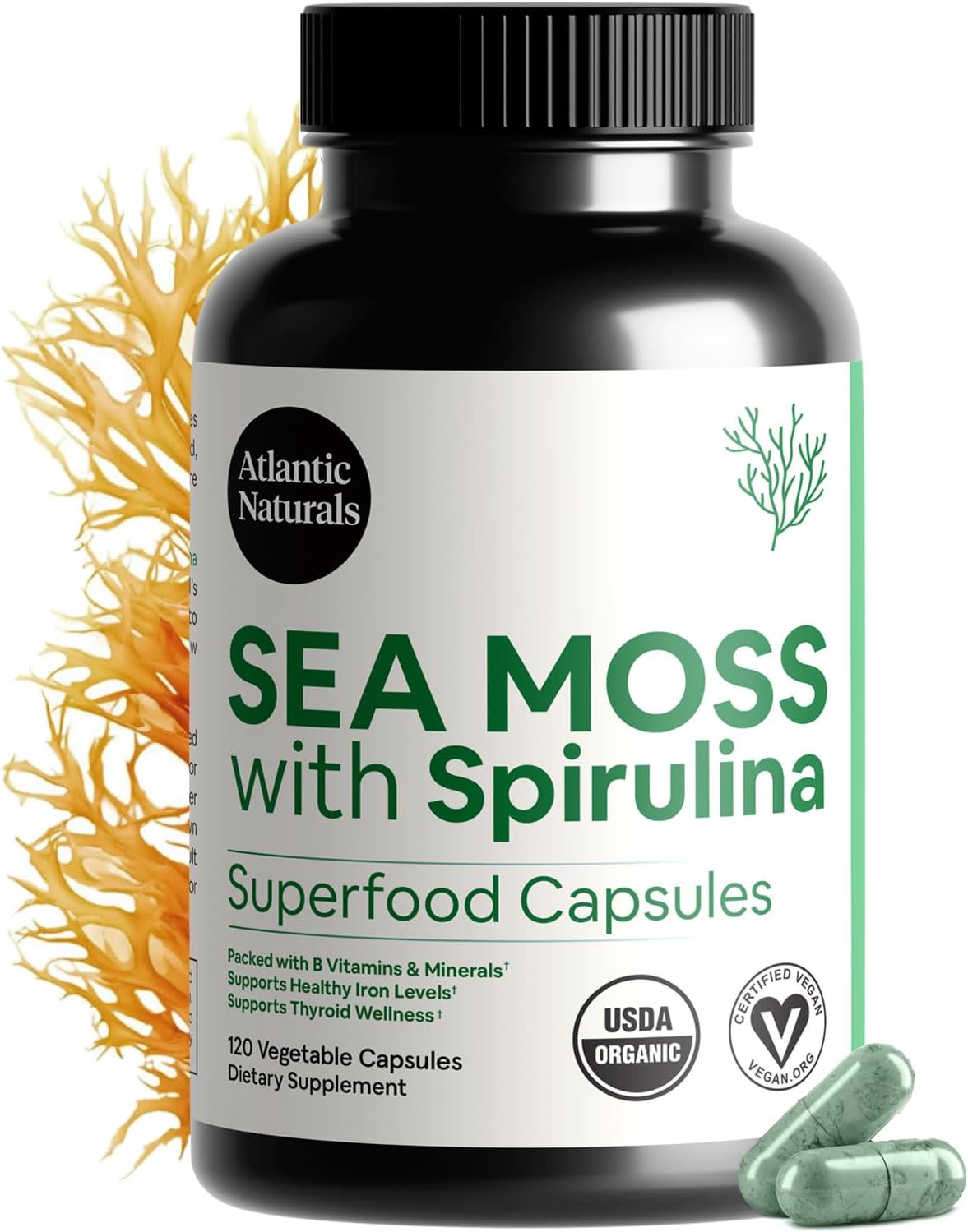 ATLANTIC NATURA (Pack of 3) Atlantic Natural Sea Moss Spirulina Superfoo 120 Vegetarian Capsules