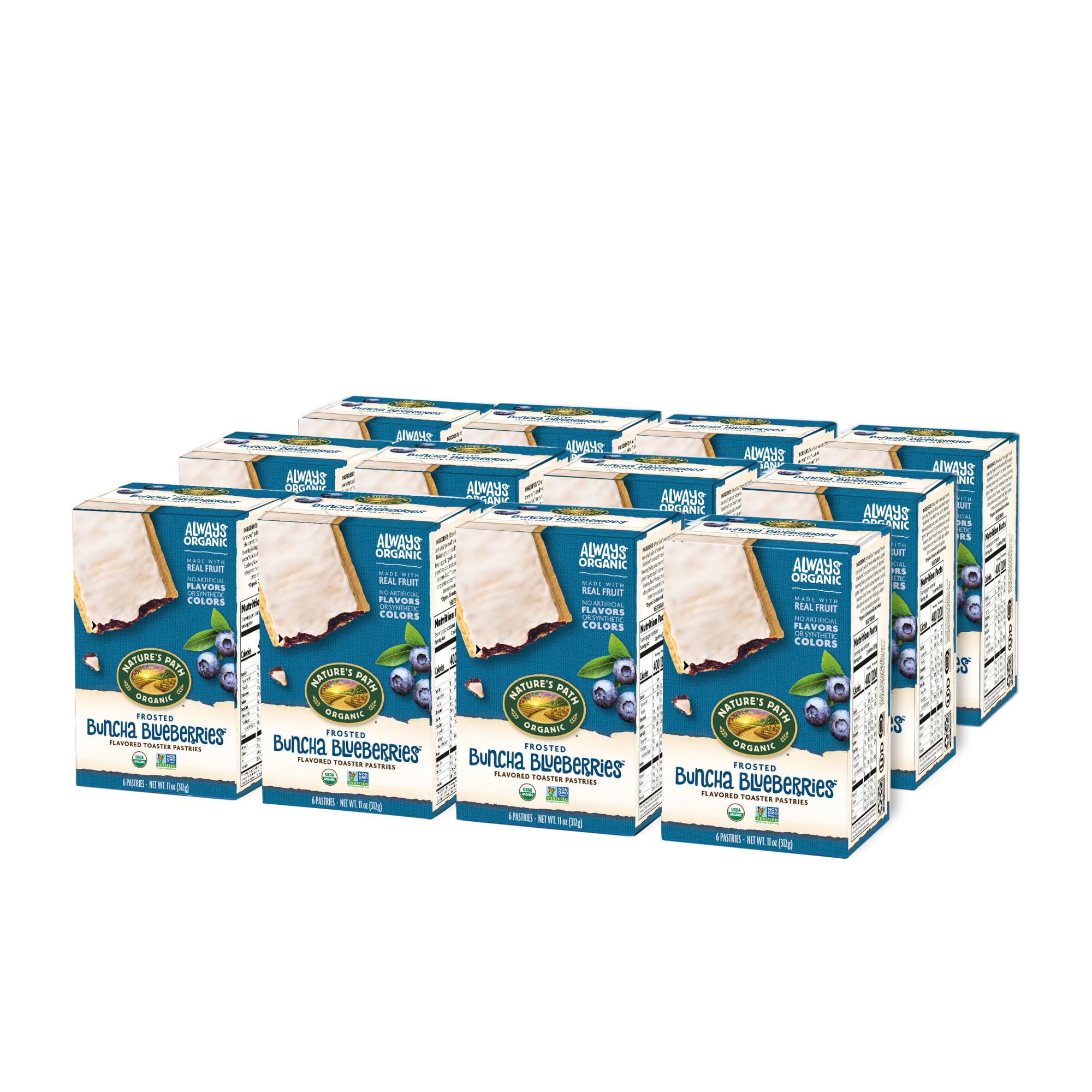 Nature's Path Toasted Pastry Frosted Blueberry Organic