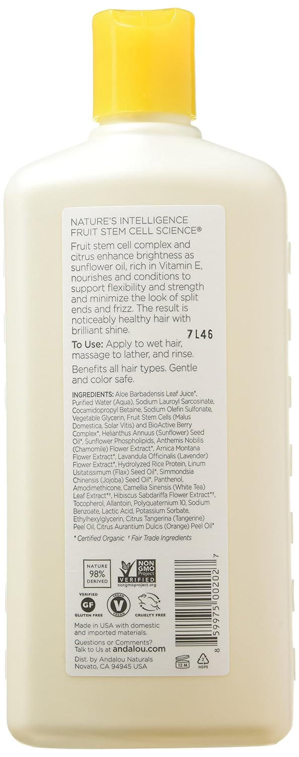 ANDALOU NATURAL (Pack of 8) Andalou Naturals Shine Sunflower & Citrus Shampoo 11.5 Oz