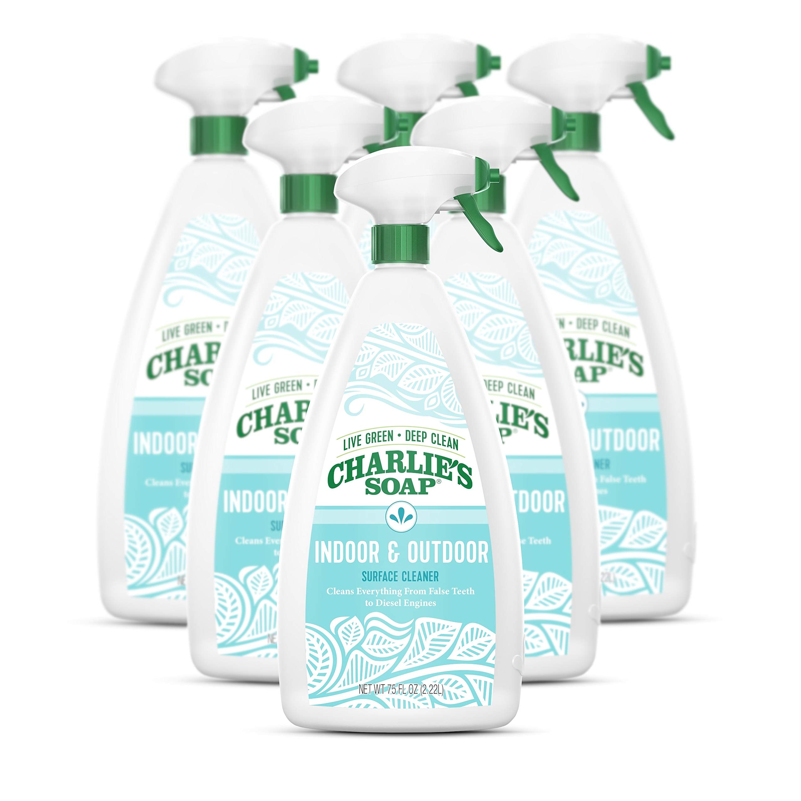 Charlie's Soap Cleaner Surface Indoor Outdoor