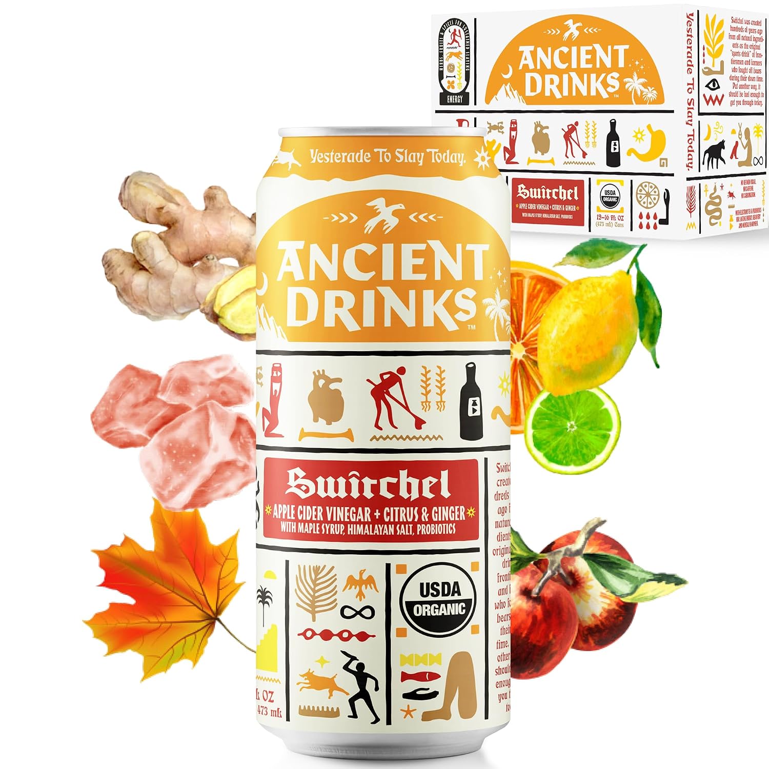 Ancient Drinks Organic Water Functional Switchel