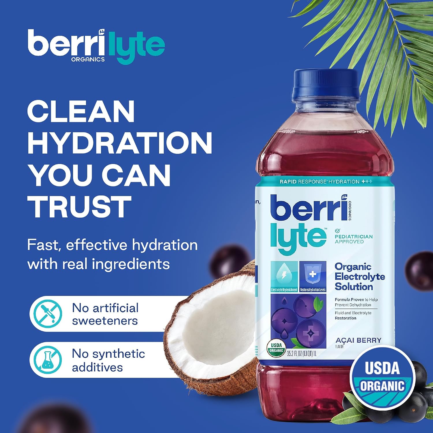 BERRI LYTE (Pack Of 9) Berri Lyte Beverage Organic Electrolyte Solution Acai Berry 1 Liter