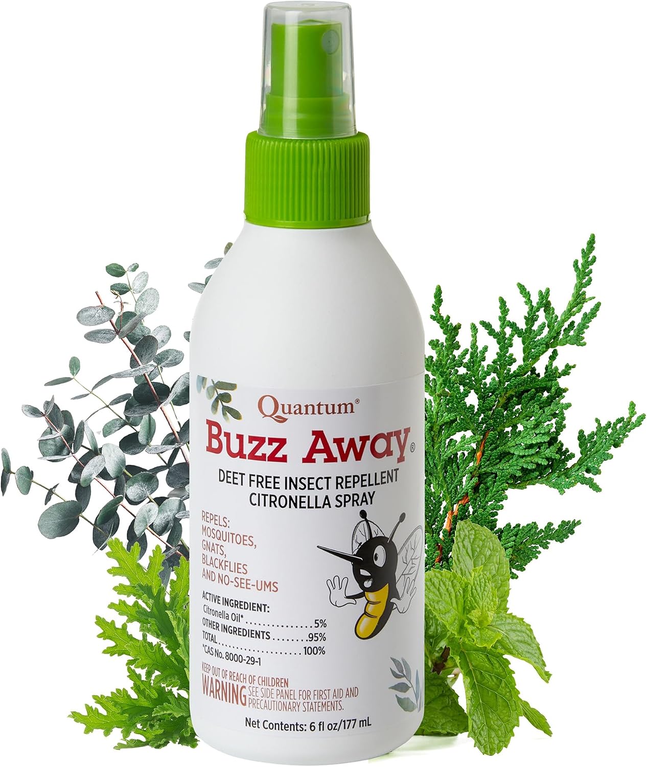 QUANTUM (Pack of 6) Quantum Buzz Away Spray 6 Oz