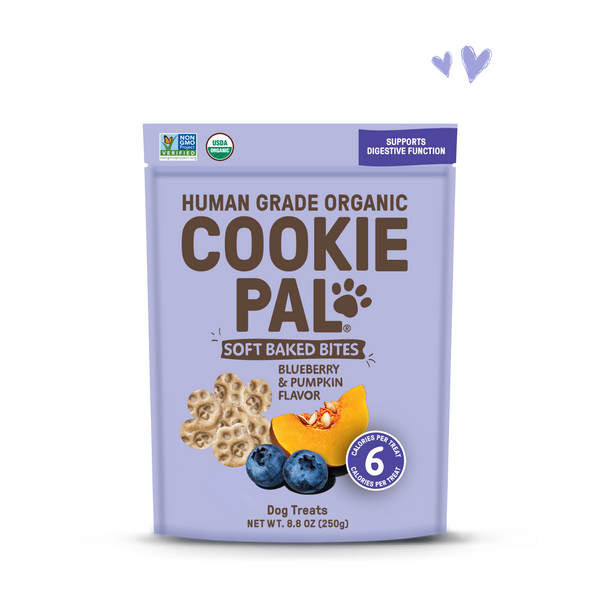 Cookie Pal Dog Treat Soft Baked Pumpkin