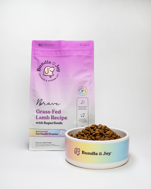 Bundle X Joy Lamb Grass Dog Food Dry