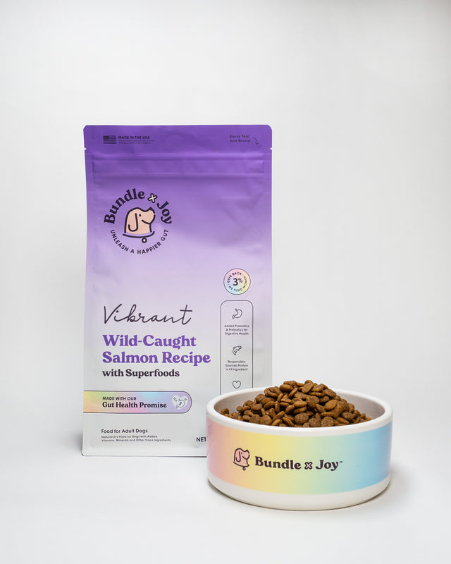 Bundle X Joy Salmon Wild Dog Food Dry