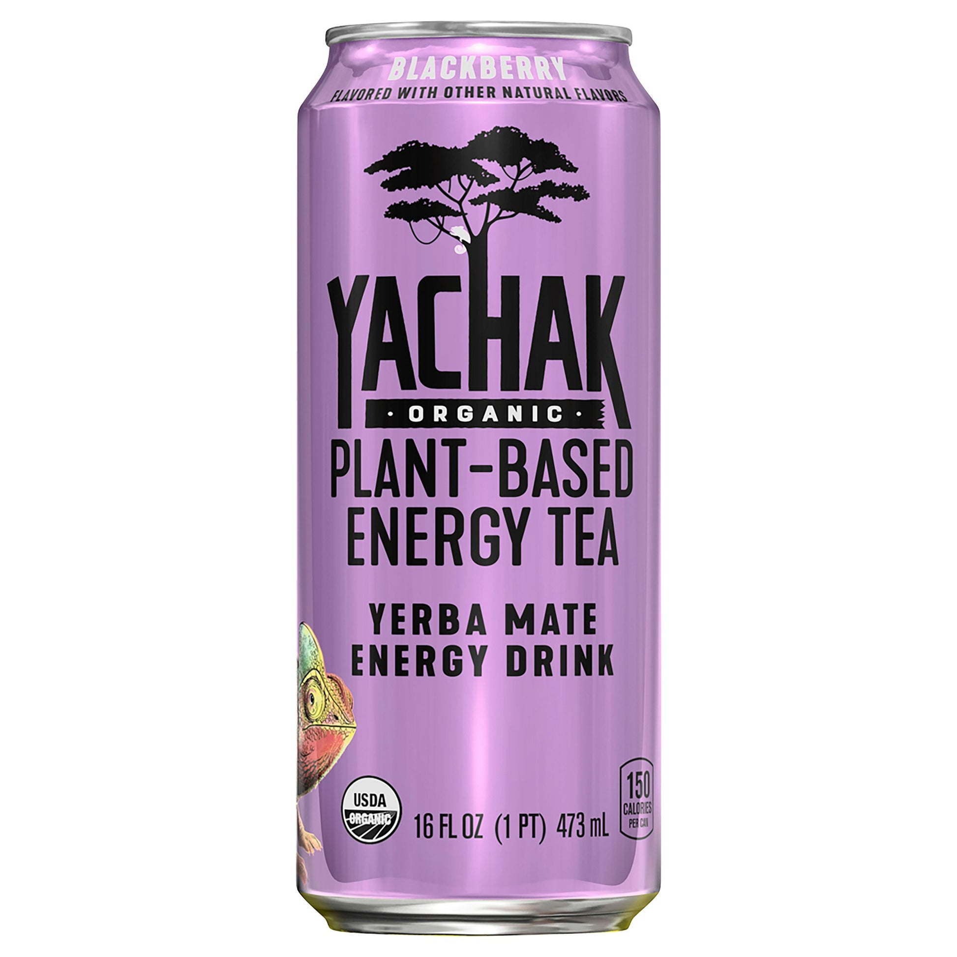 Yachak Organic Tea Organic Blackberry 16 Fo Pack of 12
