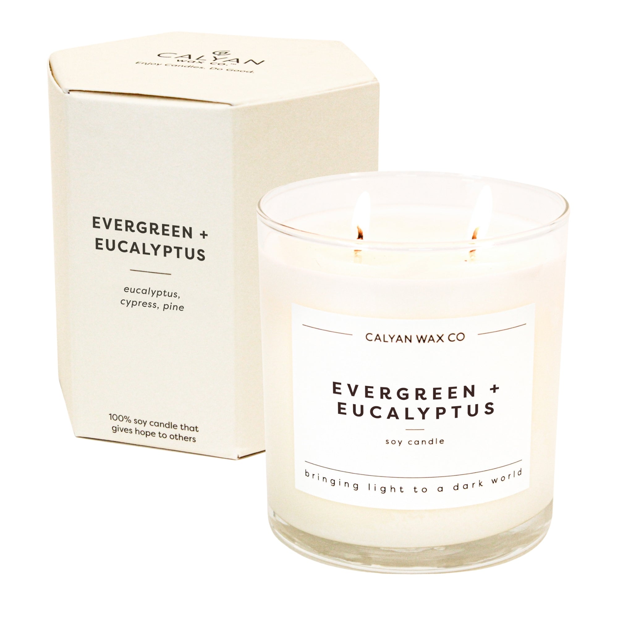 CALYAN WAX CO (Pack of 3) Calyan Wax Co. Candle Soy Evergreen Eucalyptus 8.8 Oz