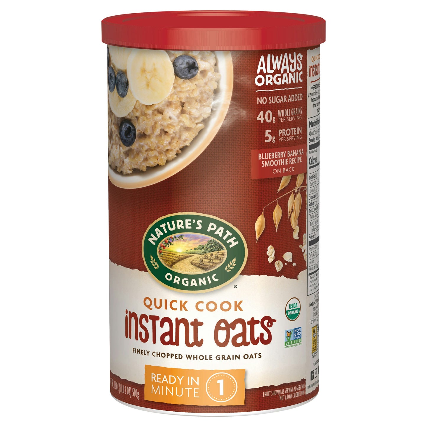 Natures Path Oatmeal Quick Organic 18 oz (Pack of 6)