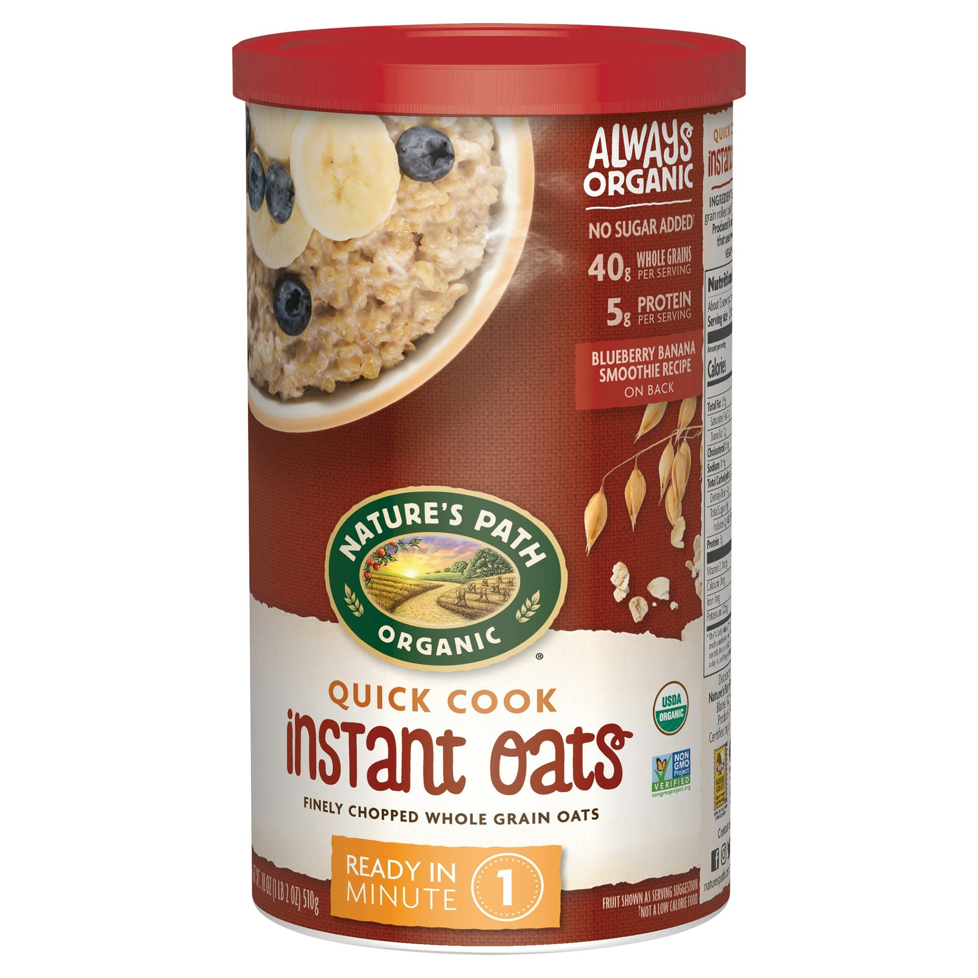 Natures Path Oatmeal Quick Organic 18 oz (Pack of 6)
