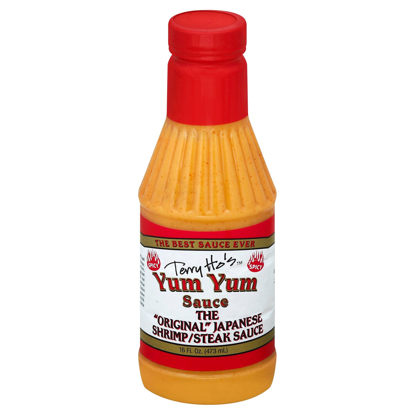 Terry Hos Sauce Yum Yum Hot 16 oz (Pack of 6)