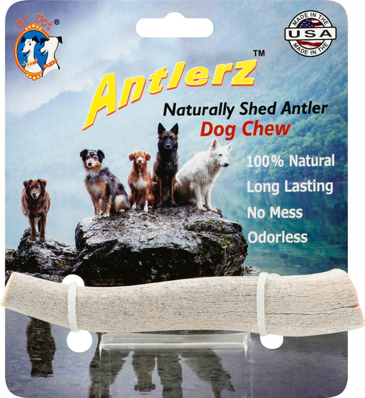 QT Dog Antlerz Small 1 Ea Pack of 12