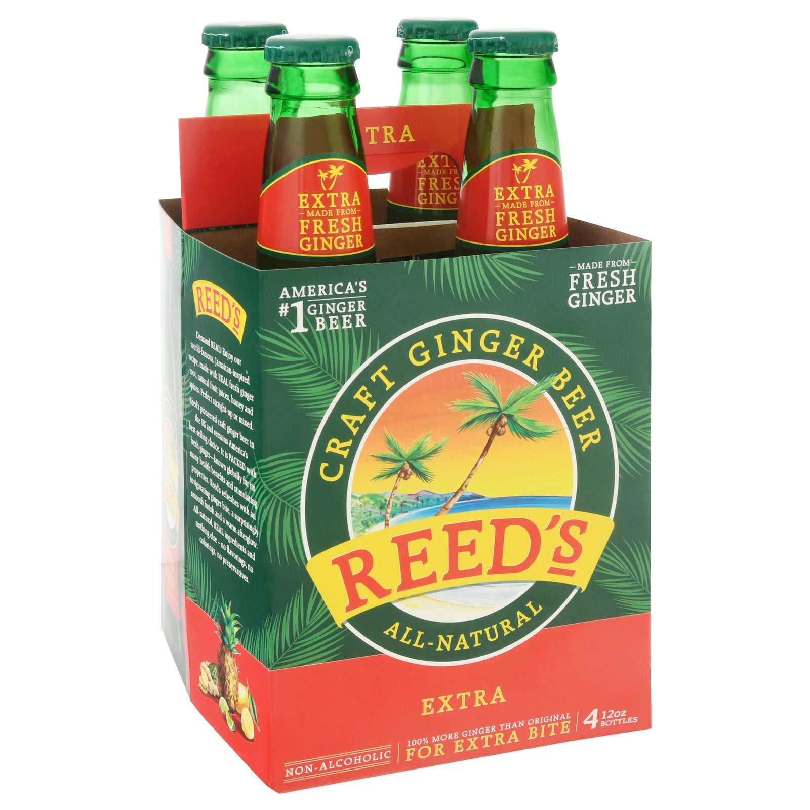 REEDS (Pack Of 8) Reeds Soda Ginger Extra 48 Fl Oz