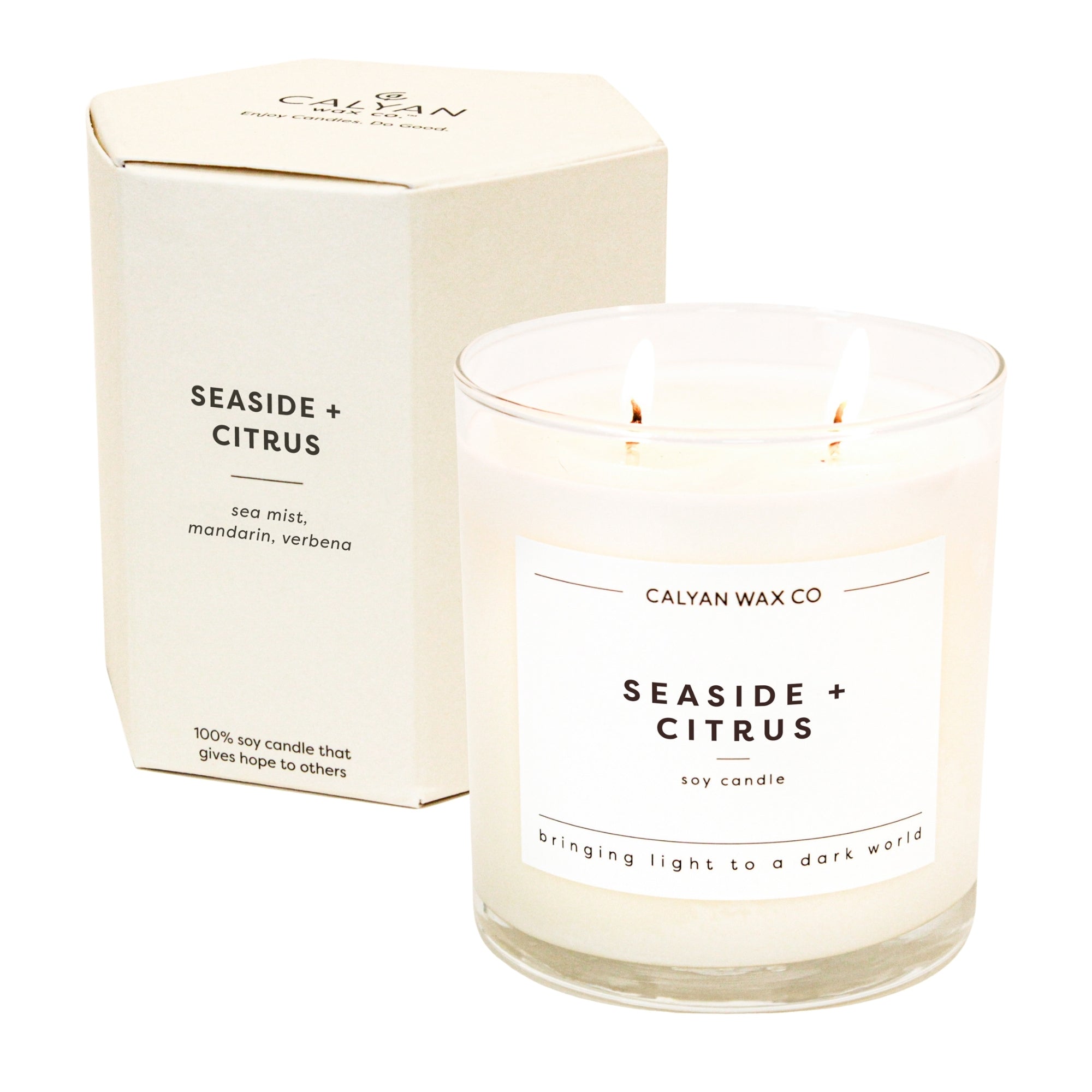 CALYAN WAX CO (Pack of 3) Calyan Wax Co Soy Container Candle Seasid Citrus Scent 8.8 Oz
