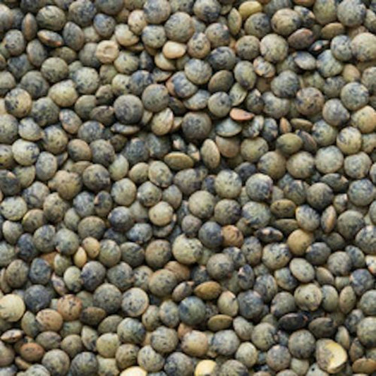 Farmer Direct Eb Lentils French Green 25 Lb